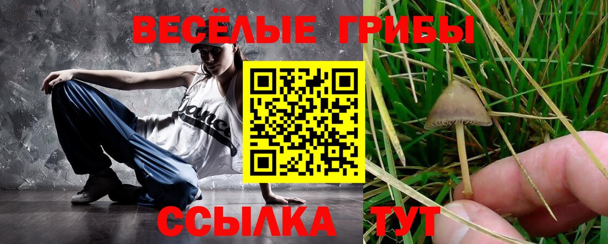 Галлюциногенные грибы Magic Shrooms  Вход с VPN  Холмск 