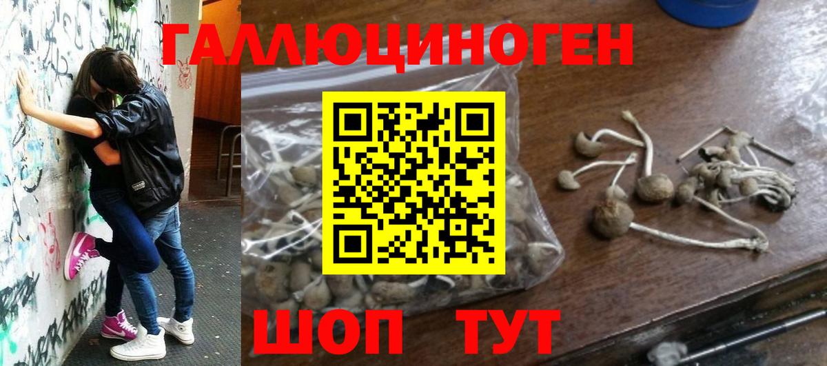 Псилоцибиновые грибы GOLDEN TEACHER Холмск